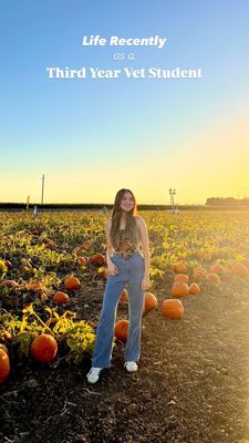 Instagram post by @cocovetmed