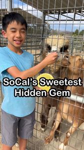 Instagram post by @lookwhosblogging