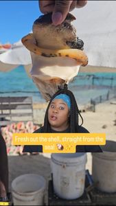 Instagram post by @teamdzml