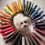 @pluvioreads Instagram Profile