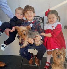 Instagram post by @melissazimm