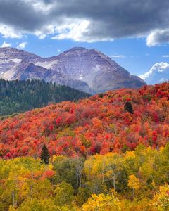 Instagram post by @ashley.goes.hiking