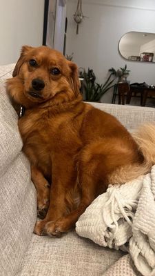 Instagram post by @hello_im_milo_