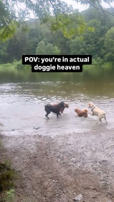 Instagram post by @hello_im_milo_