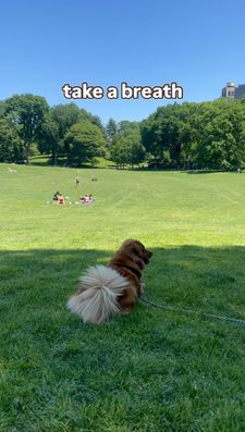 Instagram post by @hello_im_milo_