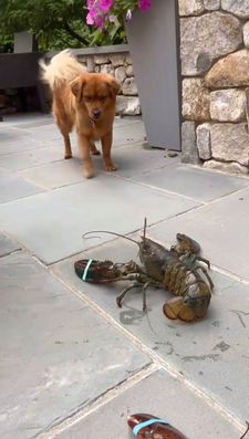 Instagram post by @hello_im_milo_