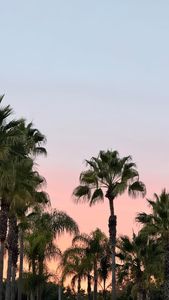 Instagram post by @desigirlpaulomi