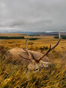 Instagram post by @natalie_rhea