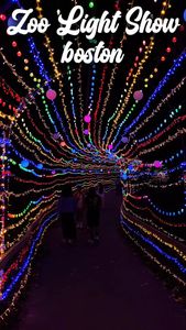 Instagram post by @bostonbychloe