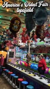 Instagram post by @bostonbychloe