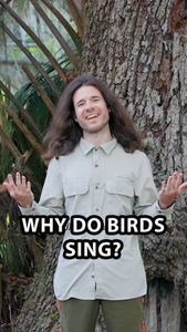 Instagram post by @navarres.wild.shots