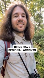 Instagram post by @navarres.wild.shots