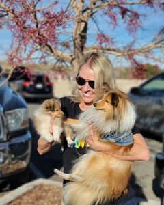 Instagram post by @archieabbyshelties