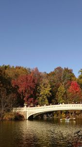 Instagram post by @hrbrowngoes