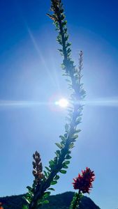 Instagram post by @the_stephen_3