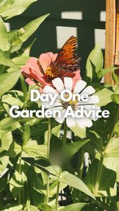 Instagram post by @heygardenzaddy