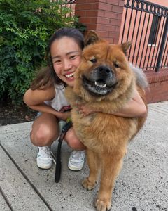 Instagram post by @zuzu.the.chowchow