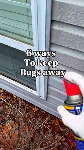 Instagram post by @its_ekcho