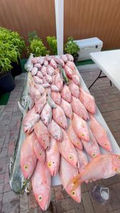 Instagram post by @n0captainneeded