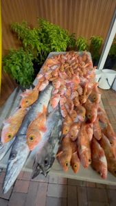 Instagram post by @n0captainneeded