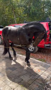 Instagram post by @n0captainneeded