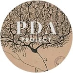 @pda.project Instagram Profile
