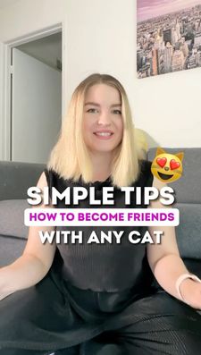 Instagram post by @cats.explained