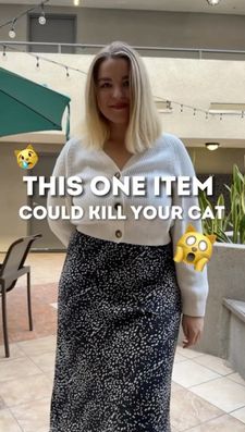 Instagram post by @cats.explained