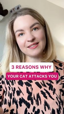 Instagram post by @cats.explained