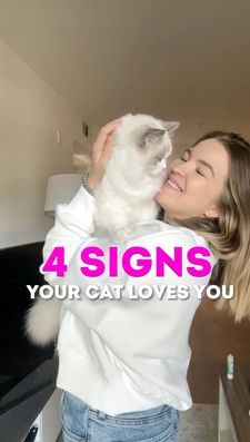 Instagram post by @cats.explained