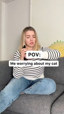 Instagram post by @cats.explained