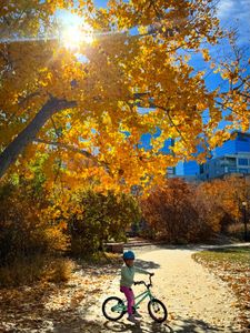 Instagram post by @jeremyjojola