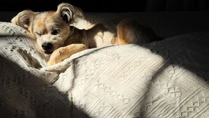 Instagram post by @jeremyjojola