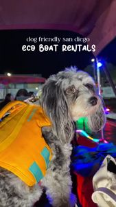 Instagram post by @shayleethepup