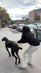 Instagram post by @vivecachow