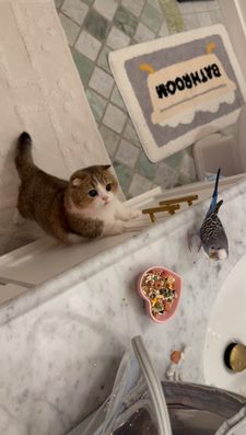 Instagram post by @fluffy_nerfs_munchkins