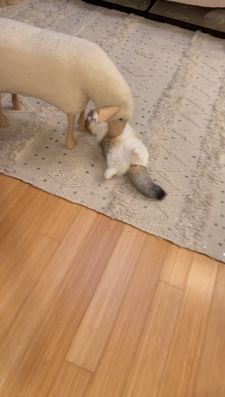 Instagram post by @fluffy_nerfs_munchkins