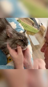 Instagram post by @southendpetsitting