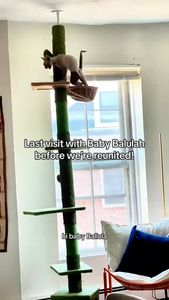 Instagram post by @southendpetsitting