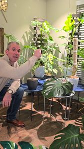 Instagram post by @tulsaplantman