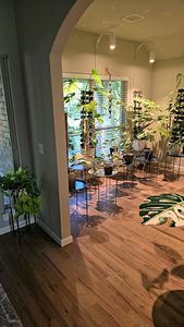 Instagram post by @tulsaplantman