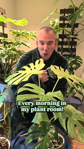 Instagram post by @tulsaplantman