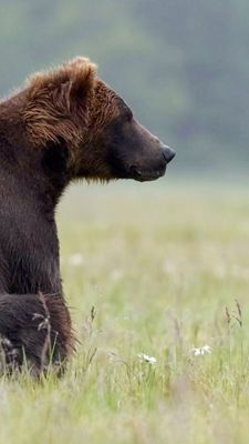 Instagram post by @jacquiematechuk