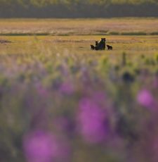 Instagram post by @jacquiematechuk