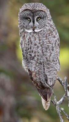 Instagram post by @jacquiematechuk