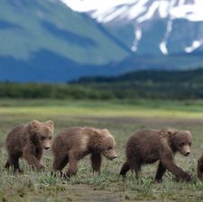 Instagram post by @jacquiematechuk