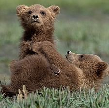 Instagram post by @jacquiematechuk