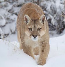 Instagram post by @jacquiematechuk