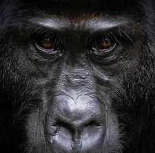 Instagram post by @jacquiematechuk