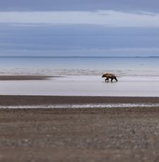 Instagram post by @jacquiematechuk